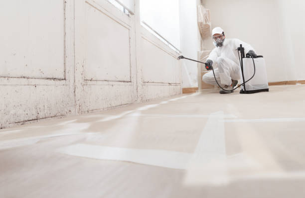 24/7 Emergency Mold Cleanup experts in Hudsonville, MI