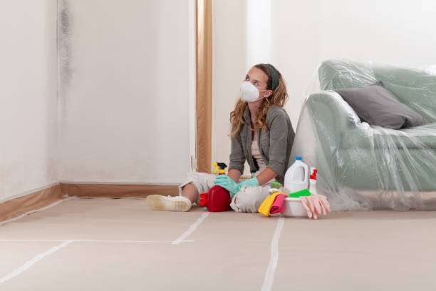 Reliable Mold Cleanup contractor in Hudsonville, MI by Cheap Mold Removal
